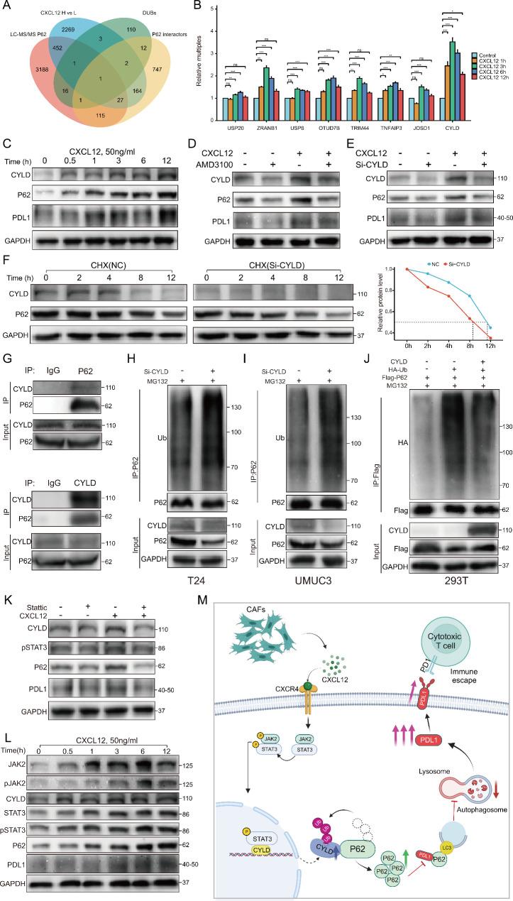 https://cdn.ncbi.nlm.nih.gov/pmc/blobs/3620/10675892/347d7661b8e0/13046_2023_2900_Fig8_HTML.jpg