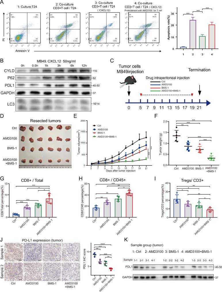 https://cdn.ncbi.nlm.nih.gov/pmc/blobs/3620/10675892/4d4f42a2aba5/13046_2023_2900_Fig6_HTML.jpg