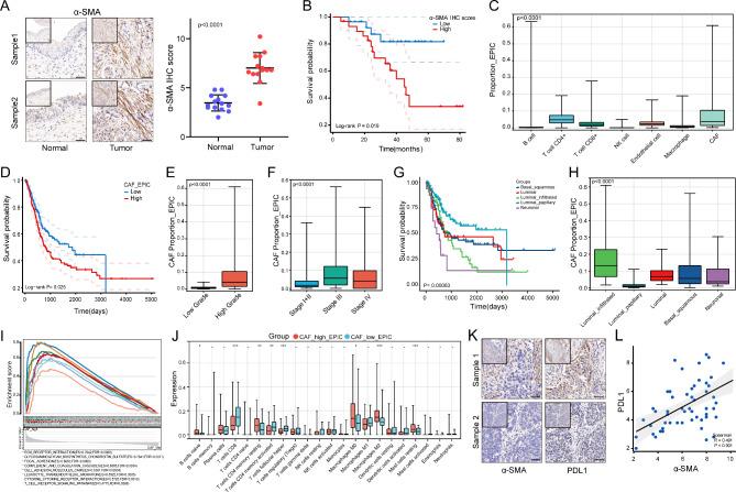 https://cdn.ncbi.nlm.nih.gov/pmc/blobs/3620/10675892/6e1a92b100f1/13046_2023_2900_Fig7_HTML.jpg