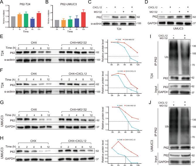 https://cdn.ncbi.nlm.nih.gov/pmc/blobs/3620/10675892/9ee93e66e58f/13046_2023_2900_Fig5_HTML.jpg