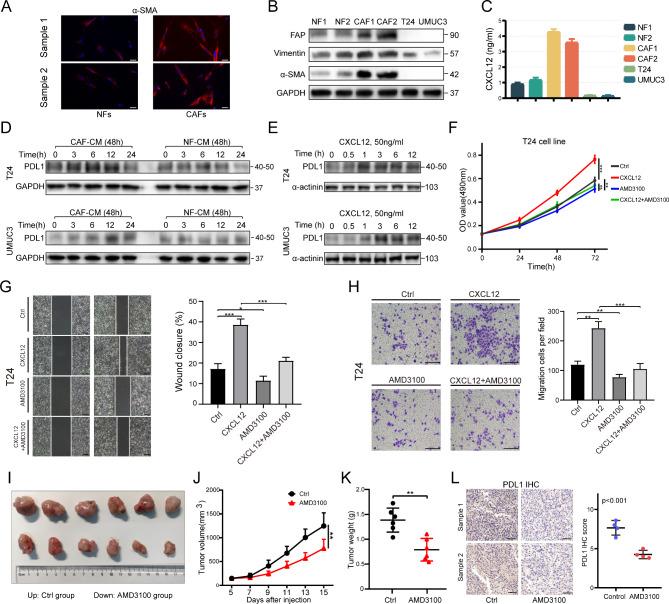 https://cdn.ncbi.nlm.nih.gov/pmc/blobs/3620/10675892/e3aeac90679b/13046_2023_2900_Fig2_HTML.jpg
