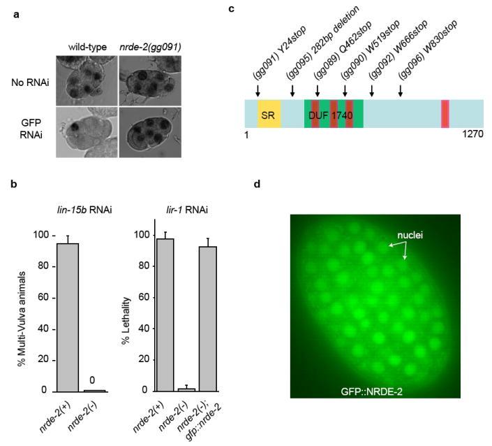 https://cdn.ncbi.nlm.nih.gov/pmc/blobs/3620/2892551/bfa30f08559e/nihms197112f1.jpg
