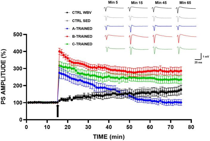 https://cdn.ncbi.nlm.nih.gov/pmc/blobs/3622/8226218/9b1e346d5100/fphys-12-678449-g001.jpg