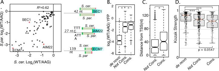 https://cdn.ncbi.nlm.nih.gov/pmc/blobs/3624/10259493/0097fab925d4/elife-69611-fig6.jpg