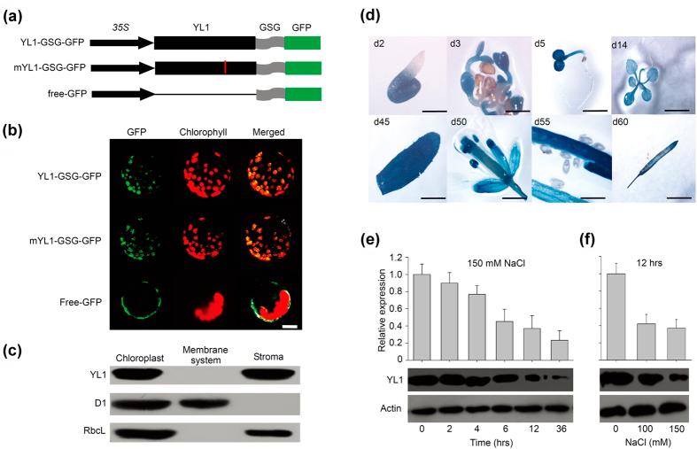 https://cdn.ncbi.nlm.nih.gov/pmc/blobs/3624/4957093/b6b069793ec5/srep30163-f3.jpg