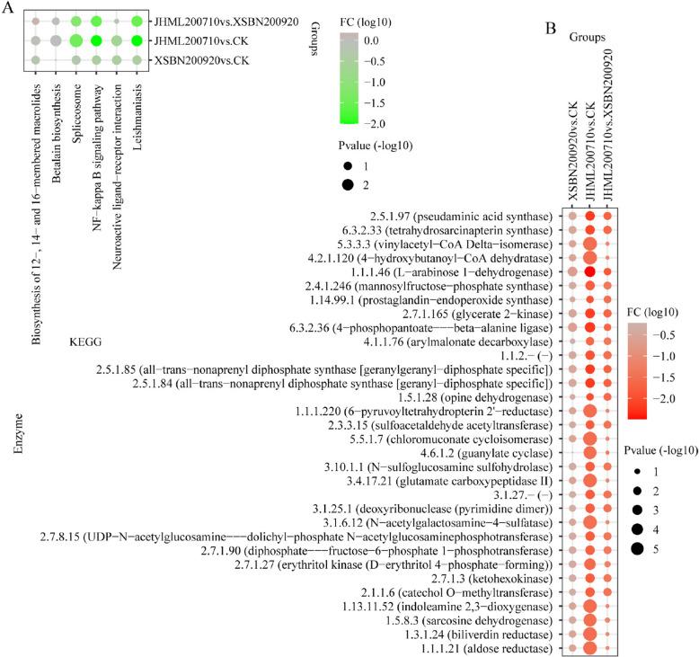 https://cdn.ncbi.nlm.nih.gov/pmc/blobs/3625/12013004/48dc600bc1a2/12866_2025_3875_Fig5_HTML.jpg