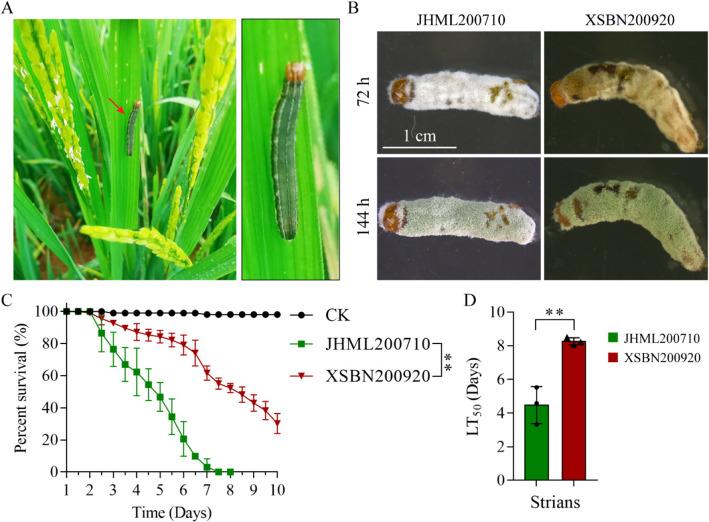 https://cdn.ncbi.nlm.nih.gov/pmc/blobs/3625/12013004/5a0adcca2521/12866_2025_3875_Fig1_HTML.jpg