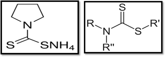 https://cdn.ncbi.nlm.nih.gov/pmc/blobs/3625/5596182/6f1a898de7c8/cjim-8-135-g003.jpg