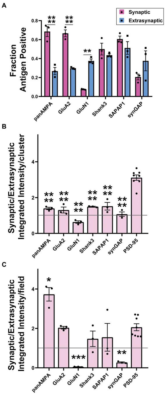 https://cdn.ncbi.nlm.nih.gov/pmc/blobs/3626/11111907/da3a2ca5f660/fnmol-17-1381534-g009.jpg