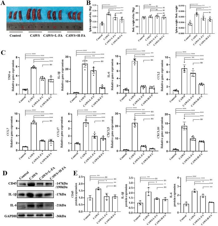 https://cdn.ncbi.nlm.nih.gov/pmc/blobs/3626/11390509/7807c9bfcf7a/fphar-15-1420602-g002.jpg