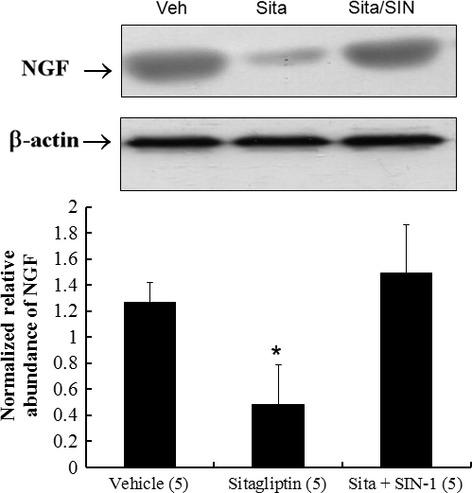 https://cdn.ncbi.nlm.nih.gov/pmc/blobs/3626/4407589/e99015bdc1c5/jcmm0019-0418-f5.jpg
