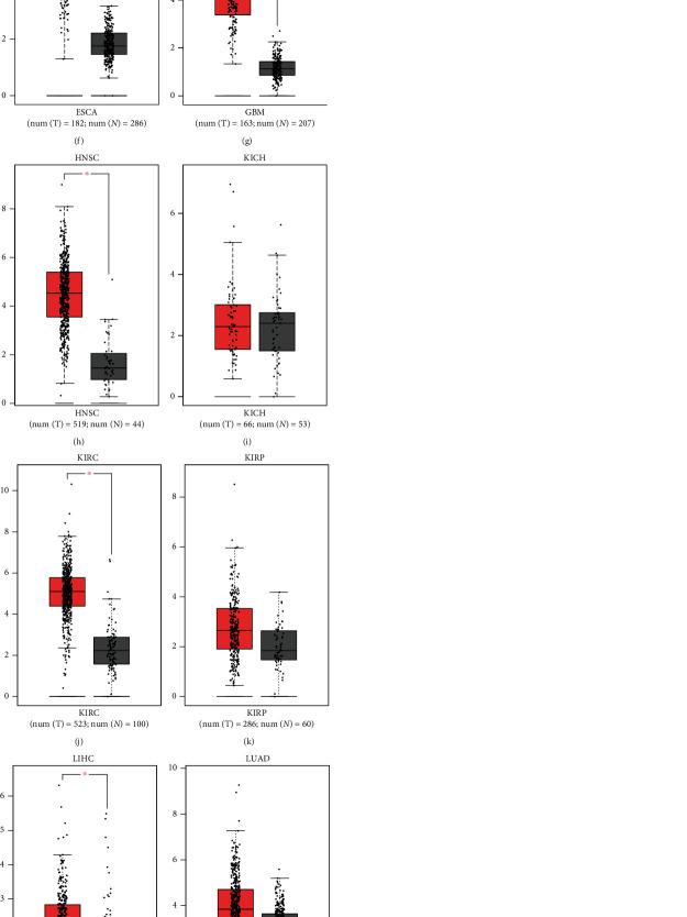https://cdn.ncbi.nlm.nih.gov/pmc/blobs/3627/9569233/906f8553cc49/OMCL2022-9277360.001.jpg