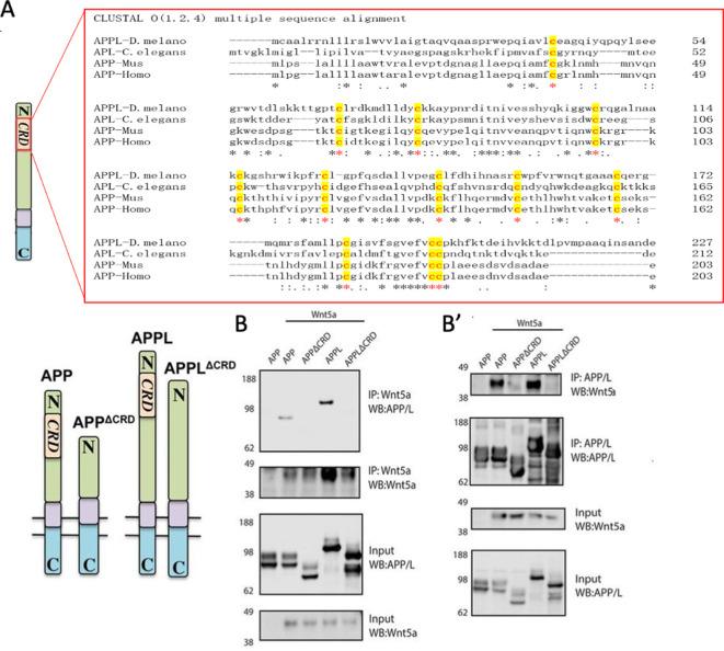 https://cdn.ncbi.nlm.nih.gov/pmc/blobs/3628/8437438/26f6222c736a/elife-69199-fig2.jpg