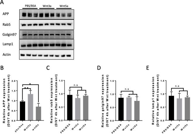 https://cdn.ncbi.nlm.nih.gov/pmc/blobs/3628/8437438/39a20b9317dc/elife-69199-fig3-figsupp4.jpg