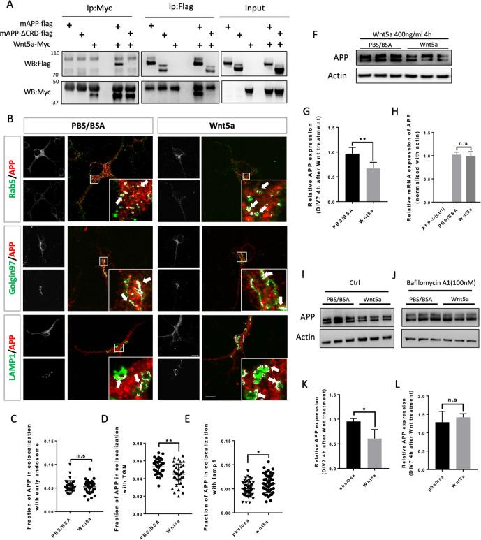 https://cdn.ncbi.nlm.nih.gov/pmc/blobs/3628/8437438/41bbfad8d35c/elife-69199-fig3.jpg