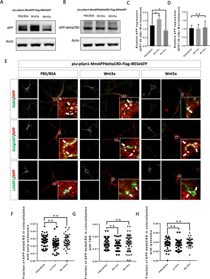 https://cdn.ncbi.nlm.nih.gov/pmc/blobs/3628/8437438/8c20596e9581/elife-69199-fig5.jpg