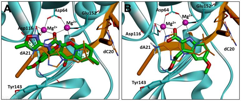 https://cdn.ncbi.nlm.nih.gov/pmc/blobs/362c/10745497/c627cb1ea10f/molecules-28-08020-g003.jpg