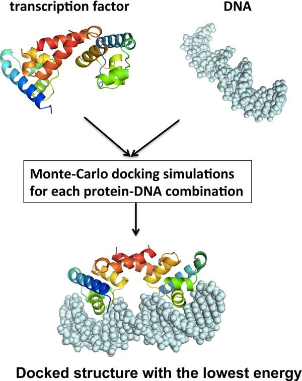 https://cdn.ncbi.nlm.nih.gov/pmc/blobs/362c/3380734/72d717039367/1477-5956-10-S1-S17-1.jpg