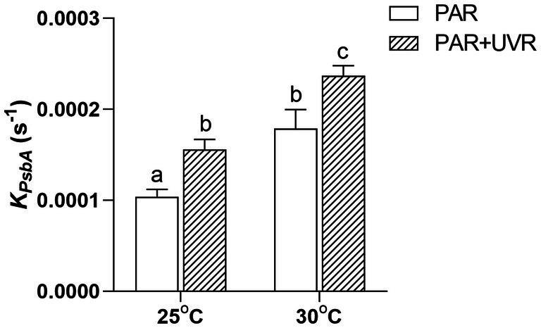 https://cdn.ncbi.nlm.nih.gov/pmc/blobs/362f/10825000/17116f850807/fmicb-15-1351796-g003.jpg