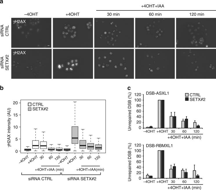 https://cdn.ncbi.nlm.nih.gov/pmc/blobs/362f/5803260/7d48a4e9486e/41467_2018_2894_Fig4_HTML.jpg