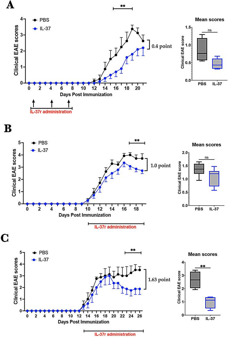 https://cdn.ncbi.nlm.nih.gov/pmc/blobs/3630/11575187/99b010de1003/12974_2024_3295_Fig1_HTML.jpg