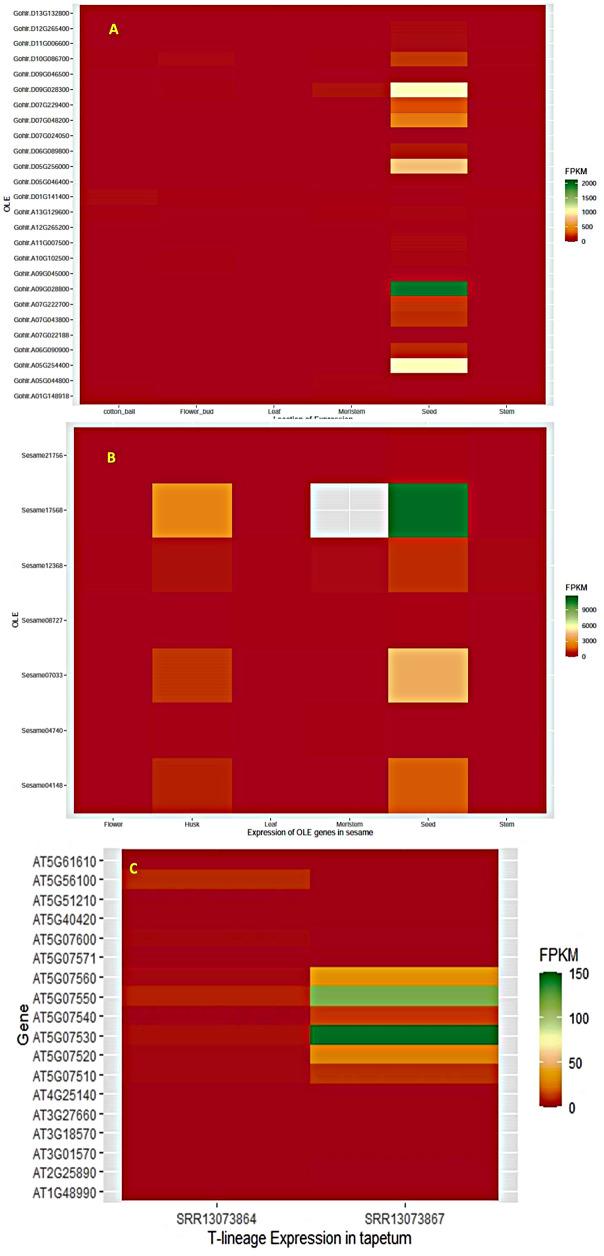 https://cdn.ncbi.nlm.nih.gov/pmc/blobs/3631/11218257/71199208dce3/12864_2024_10527_Fig5_HTML.jpg