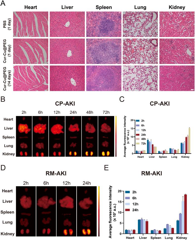 https://cdn.ncbi.nlm.nih.gov/pmc/blobs/3631/12088824/dfec22ec1414/gr4.jpg