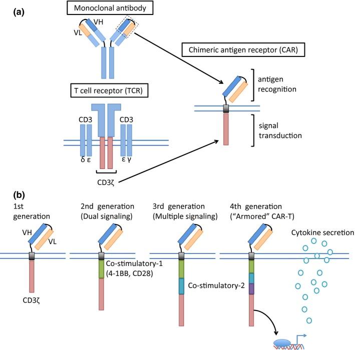 https://cdn.ncbi.nlm.nih.gov/pmc/blobs/3631/5480083/126957b557af/CAS-108-1109-g001.jpg
