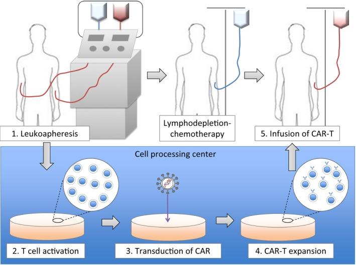 https://cdn.ncbi.nlm.nih.gov/pmc/blobs/3631/5480083/29f45d9b45e1/CAS-108-1109-g003.jpg