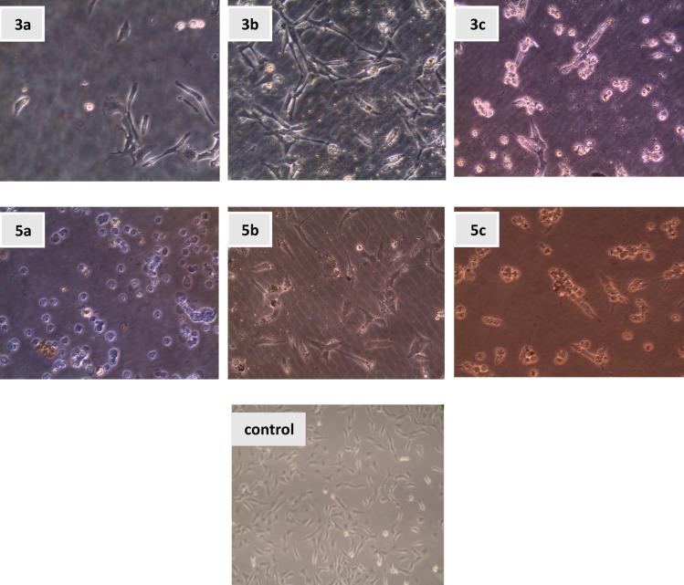 https://cdn.ncbi.nlm.nih.gov/pmc/blobs/3632/12181427/3ddebeae37b6/41598_2025_5691_Fig4_HTML.jpg