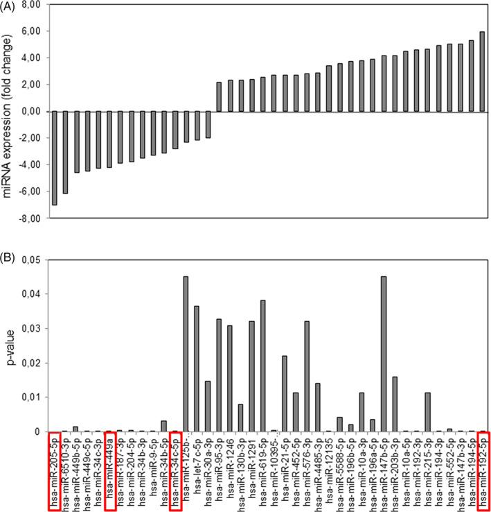 https://cdn.ncbi.nlm.nih.gov/pmc/blobs/3632/9292973/1d21daa804e7/HED-44-18-g004.jpg