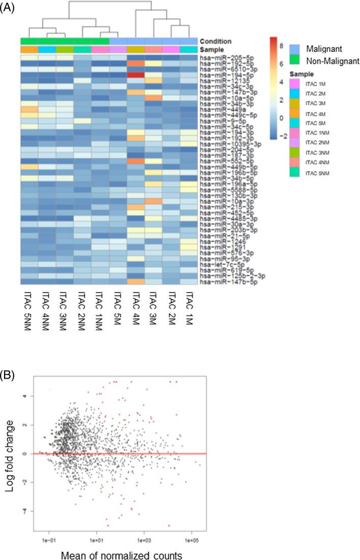 https://cdn.ncbi.nlm.nih.gov/pmc/blobs/3632/9292973/60a13c39833d/HED-44-18-g006.jpg