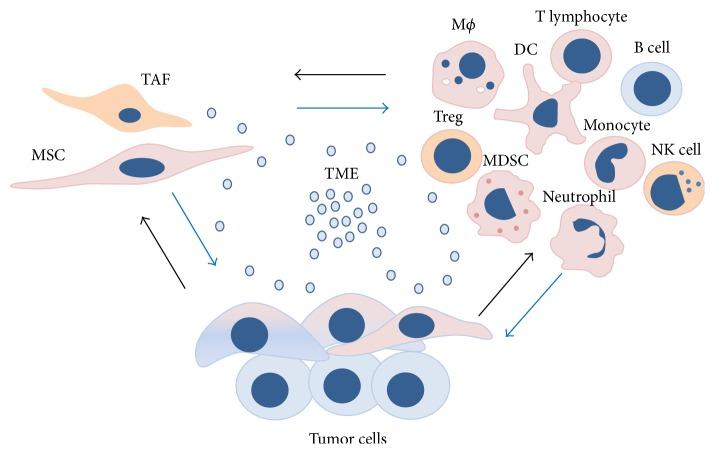 https://cdn.ncbi.nlm.nih.gov/pmc/blobs/3635/5007366/51831eea606b/MI2016-7314016.001.jpg