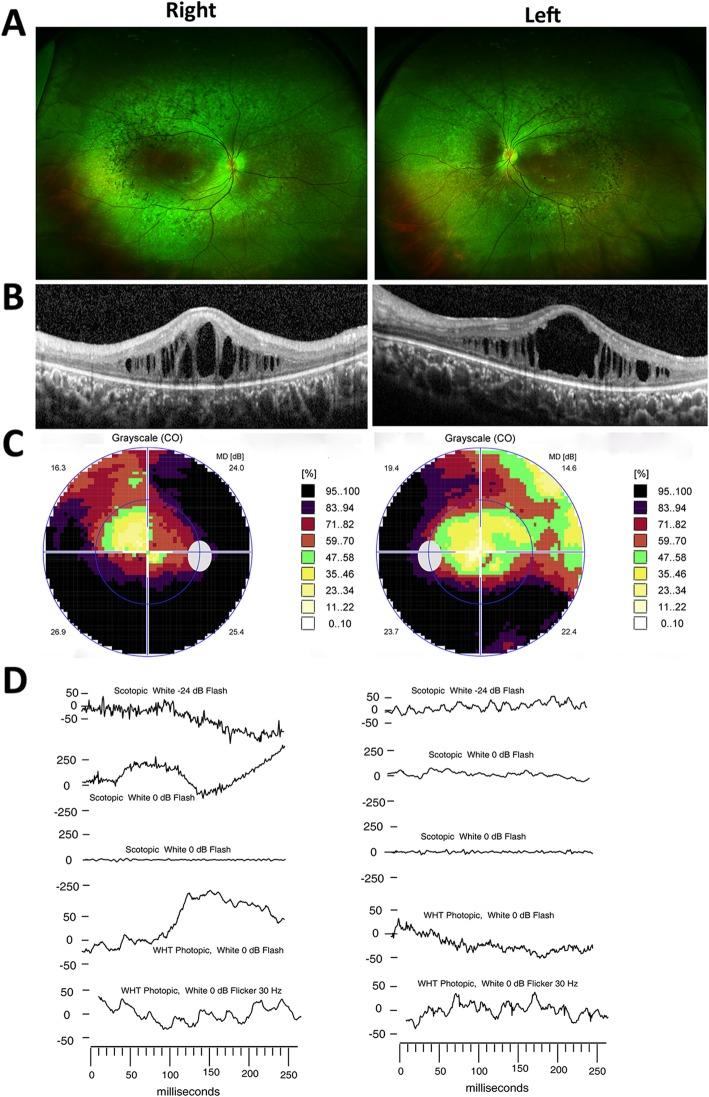 https://cdn.ncbi.nlm.nih.gov/pmc/blobs/3637/6909578/05e4d0621485/13023_2019_1243_Fig3_HTML.jpg