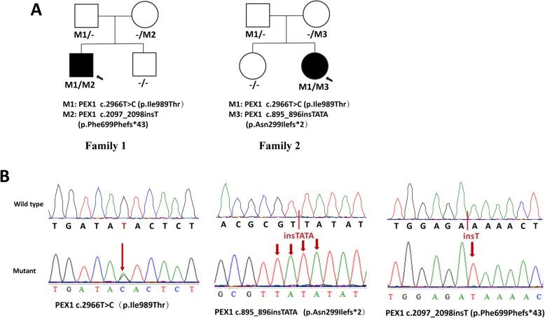 https://cdn.ncbi.nlm.nih.gov/pmc/blobs/3637/6909578/f2586237b65e/13023_2019_1243_Fig1_HTML.jpg