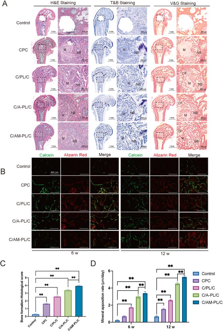 https://cdn.ncbi.nlm.nih.gov/pmc/blobs/3638/11169522/48904f05c1e9/gr9.jpg