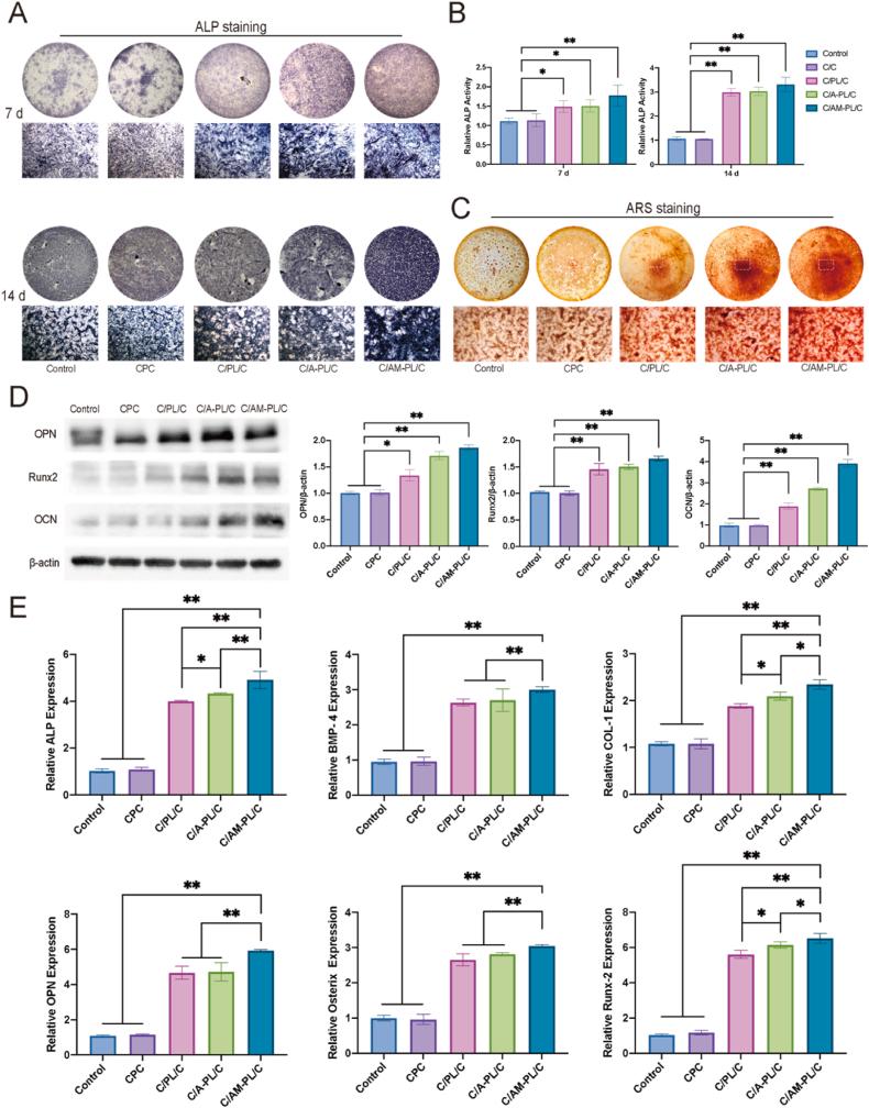 https://cdn.ncbi.nlm.nih.gov/pmc/blobs/3638/11169522/49e759d27193/gr5.jpg