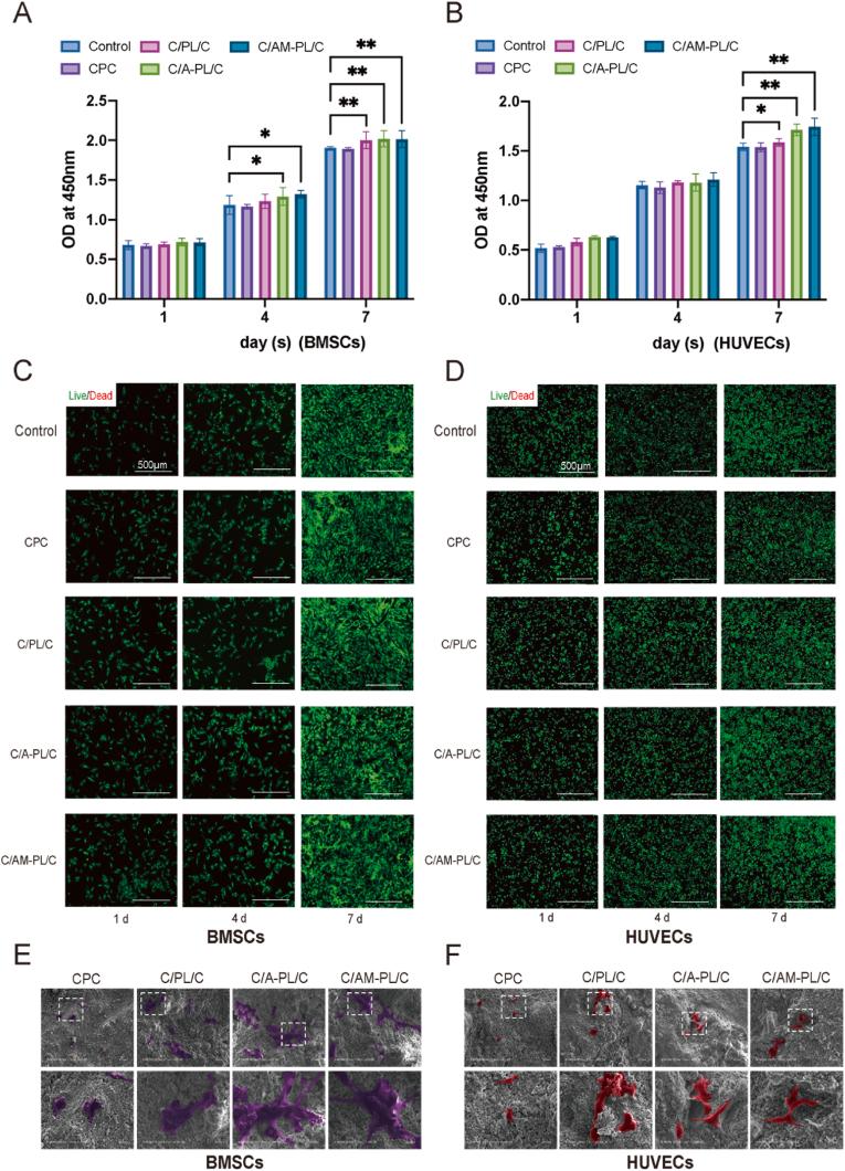 https://cdn.ncbi.nlm.nih.gov/pmc/blobs/3638/11169522/935a72401319/gr4.jpg