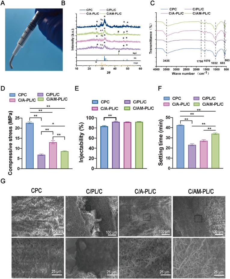 https://cdn.ncbi.nlm.nih.gov/pmc/blobs/3638/11169522/d5dbd1108e85/gr2.jpg