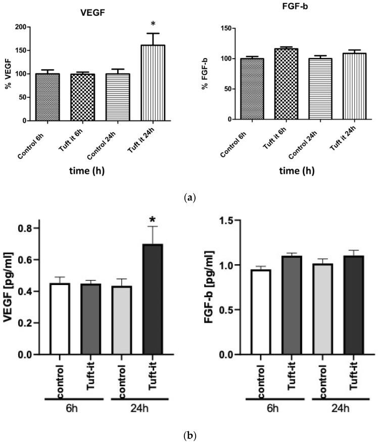 https://cdn.ncbi.nlm.nih.gov/pmc/blobs/363c/10298343/f33295b5654d/gels-09-00504-g004.jpg