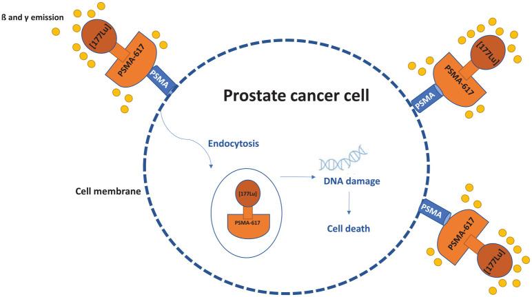 https://cdn.ncbi.nlm.nih.gov/pmc/blobs/363c/8902011/fc6ab3aaca6e/10.1177_17588359221081922-fig1.jpg