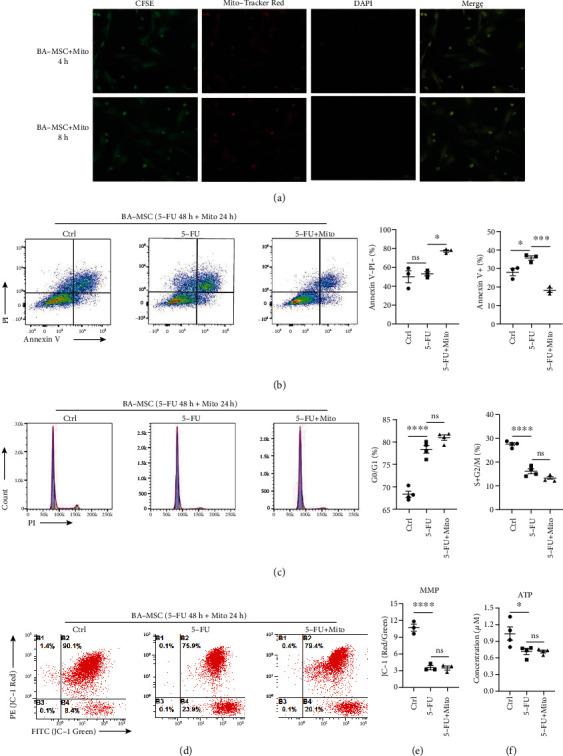 https://cdn.ncbi.nlm.nih.gov/pmc/blobs/363d/9902133/ad0e33f89fa7/SCI2023-7482546.005.jpg