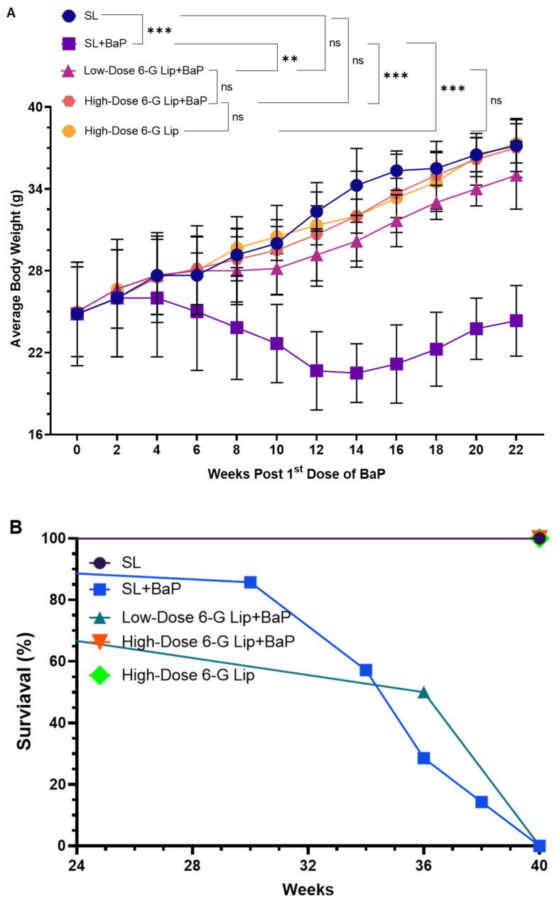 https://cdn.ncbi.nlm.nih.gov/pmc/blobs/3644/12030401/1ec267b2d38c/pharmaceuticals-18-00574-g003.jpg