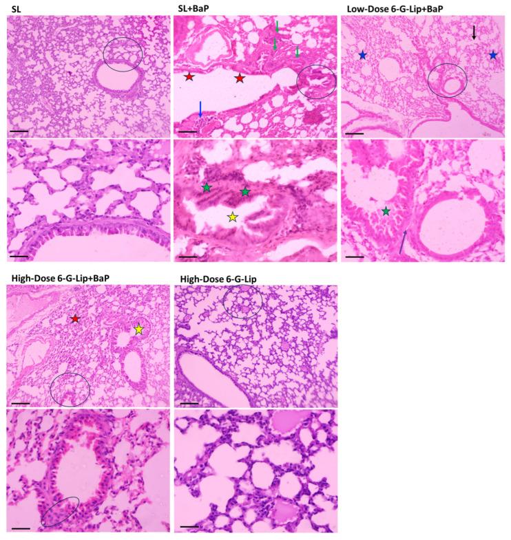 https://cdn.ncbi.nlm.nih.gov/pmc/blobs/3644/12030401/aa2dfb4c588d/pharmaceuticals-18-00574-g008.jpg