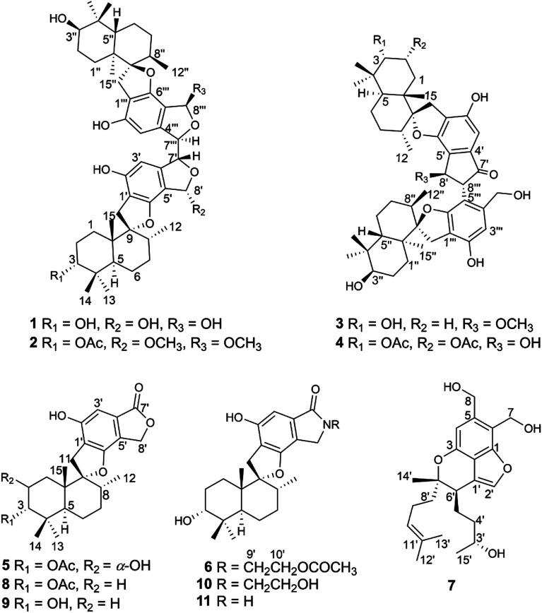https://cdn.ncbi.nlm.nih.gov/pmc/blobs/3645/9060241/330a82f8c99e/c8ra10195g-f1.jpg
