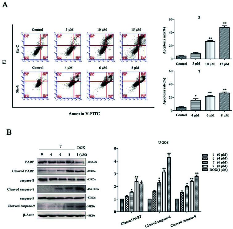https://cdn.ncbi.nlm.nih.gov/pmc/blobs/3645/9060241/c4dbdcc5973d/c8ra10195g-f9.jpg