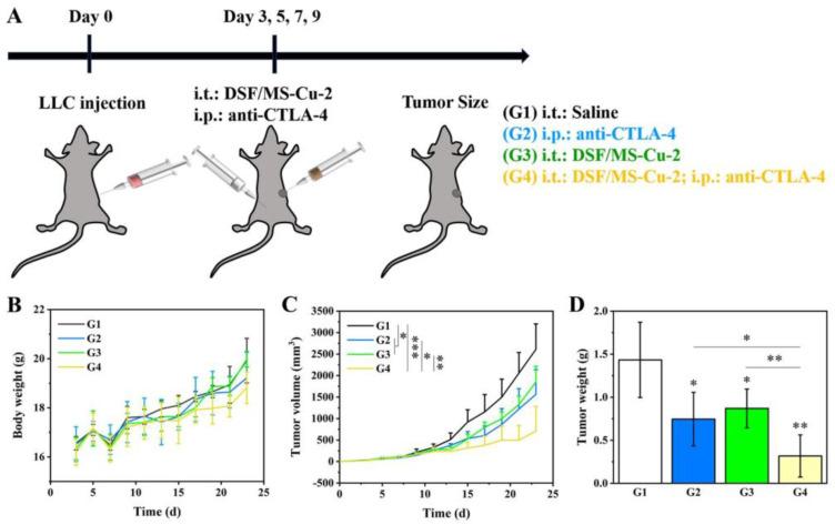 https://cdn.ncbi.nlm.nih.gov/pmc/blobs/3647/10746032/40d1d2c460cd/nanomaterials-13-03144-g007.jpg