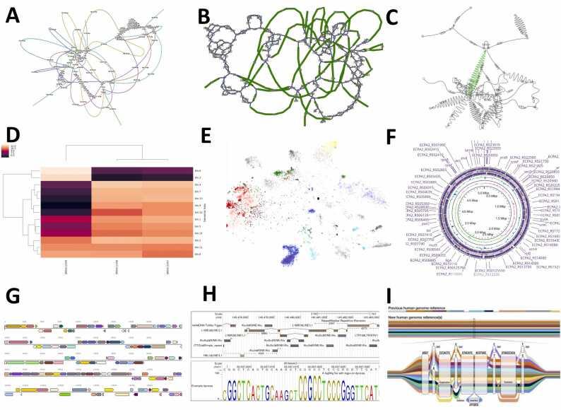 https://cdn.ncbi.nlm.nih.gov/pmc/blobs/3649/11101950/82ce668cd122/gr3.jpg