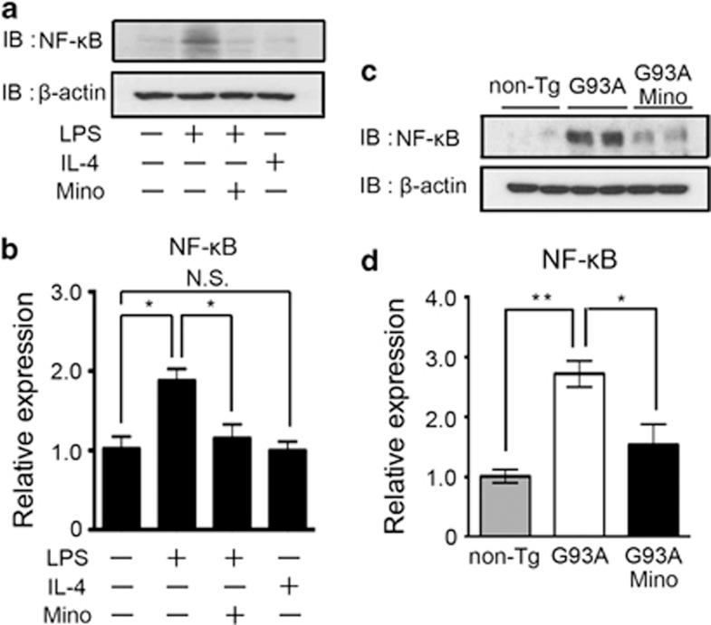 https://cdn.ncbi.nlm.nih.gov/pmc/blobs/3649/3613832/b8fc45cb9027/cddis201354f7.jpg