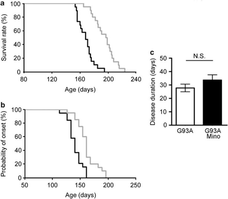https://cdn.ncbi.nlm.nih.gov/pmc/blobs/3649/3613832/d6e97eb59530/cddis201354f1.jpg